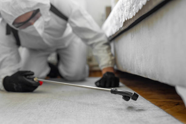 Professional Bed Bug Control technician working in Lodi, NJ