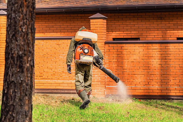 Trusted Cockroach Control service in Lodi, NJ - Nex Pest Control